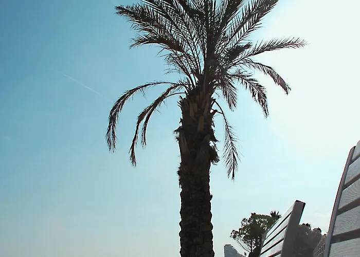 2p Vlb Appartamento *